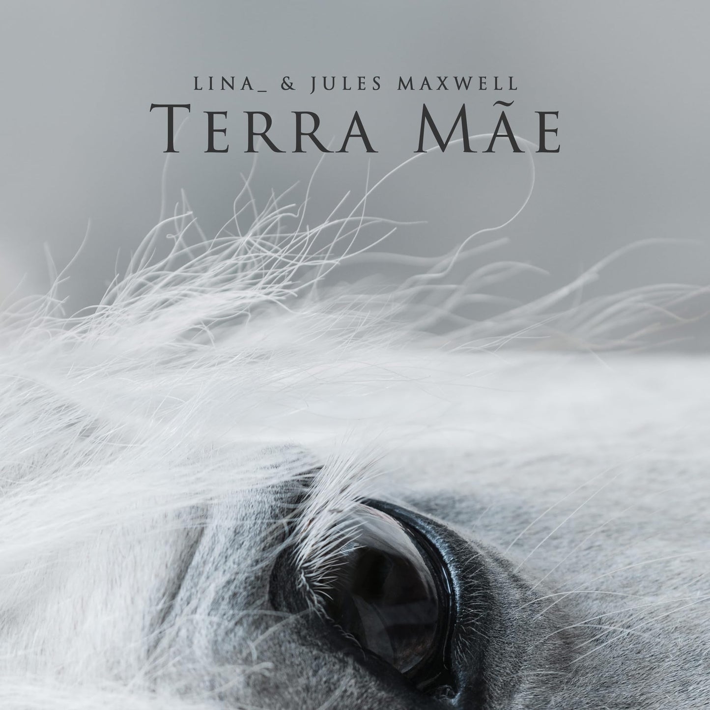 Lina - Terra Mae (Uk) [LP] Vinyl Record