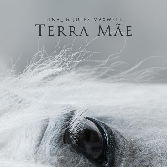 Lina - Terra Mae (Uk) [LP] Vinyl Record