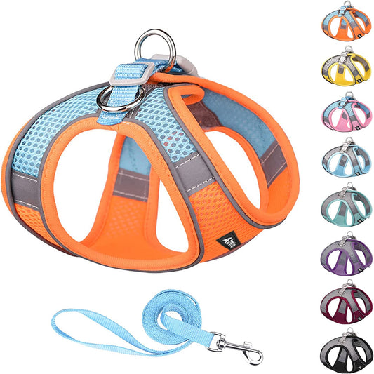 AIITLE Step in Dog Harness and Leash Set - Dog Vest Harness with Super Breathable Mesh, Reflective No-Pull Pet Harness for Outdoor Walking, Training for Small Dogs, Cats Pink XXS