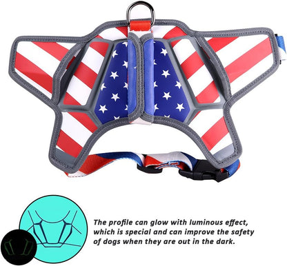 USA Patriotic Star Dog Harness+Leash Set