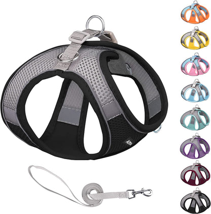 AIITLE Step in Dog Harness and Leash Set - Dog Vest Harness with Super Breathable Mesh, Reflective No-Pull Pet Harness for Outdoor Walking, Training for Small Dogs, Cats Pink XXS