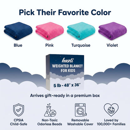 Kids Weighted Blanket with Removable Minky Cover