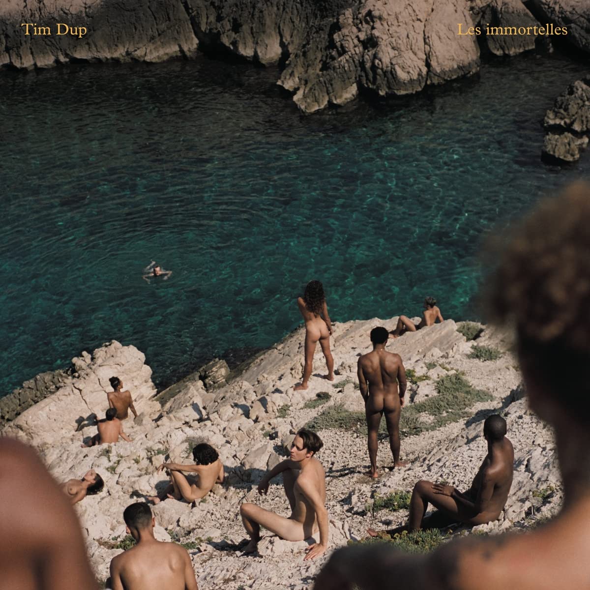 Tim Dup - Les Immortelles (Ger) [LP] Vinyl Record