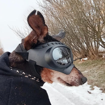 Dog goggles sunglasses skull