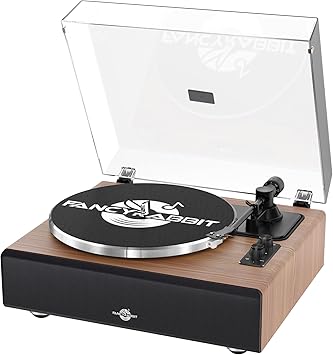 Vinyl Record Player with Speakers, High Fidelity Turntables for Vinyl Records with Magnetic Cartridge AT-3600L, Bluetooth Playback Built-in Phono Preamp, Belt Drive 2-Speed