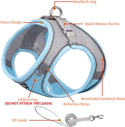 AIITLE Step in Dog Harness and Leash Set - Dog Vest Harness with Super Breathable Mesh, Reflective No-Pull Pet Harness for Outdoor Walking, Training for Small Dogs, Cats Pink XXS