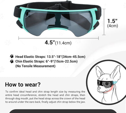 Dog goggle space style for Small Dog