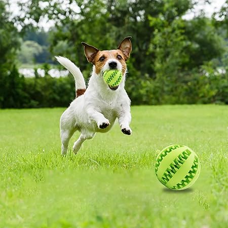 Interactive Pet Food Bowl äóñ Slow Feeder Dog Food Dispenser for Healthy Eating, Treat Dispensing Puzzle Bowl for Dogs