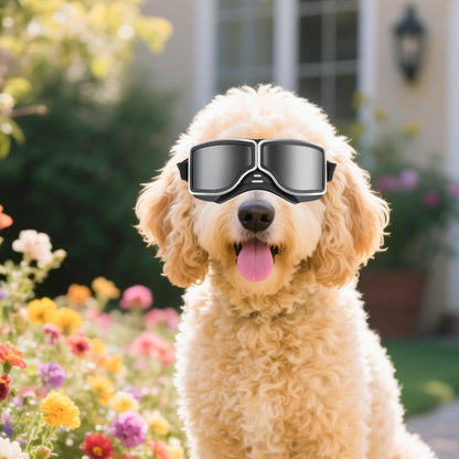 Dog Goggles Medium to Large Breed Pilot Style