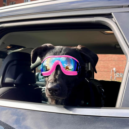 Dog goggles anti UV skiing sunglasses
