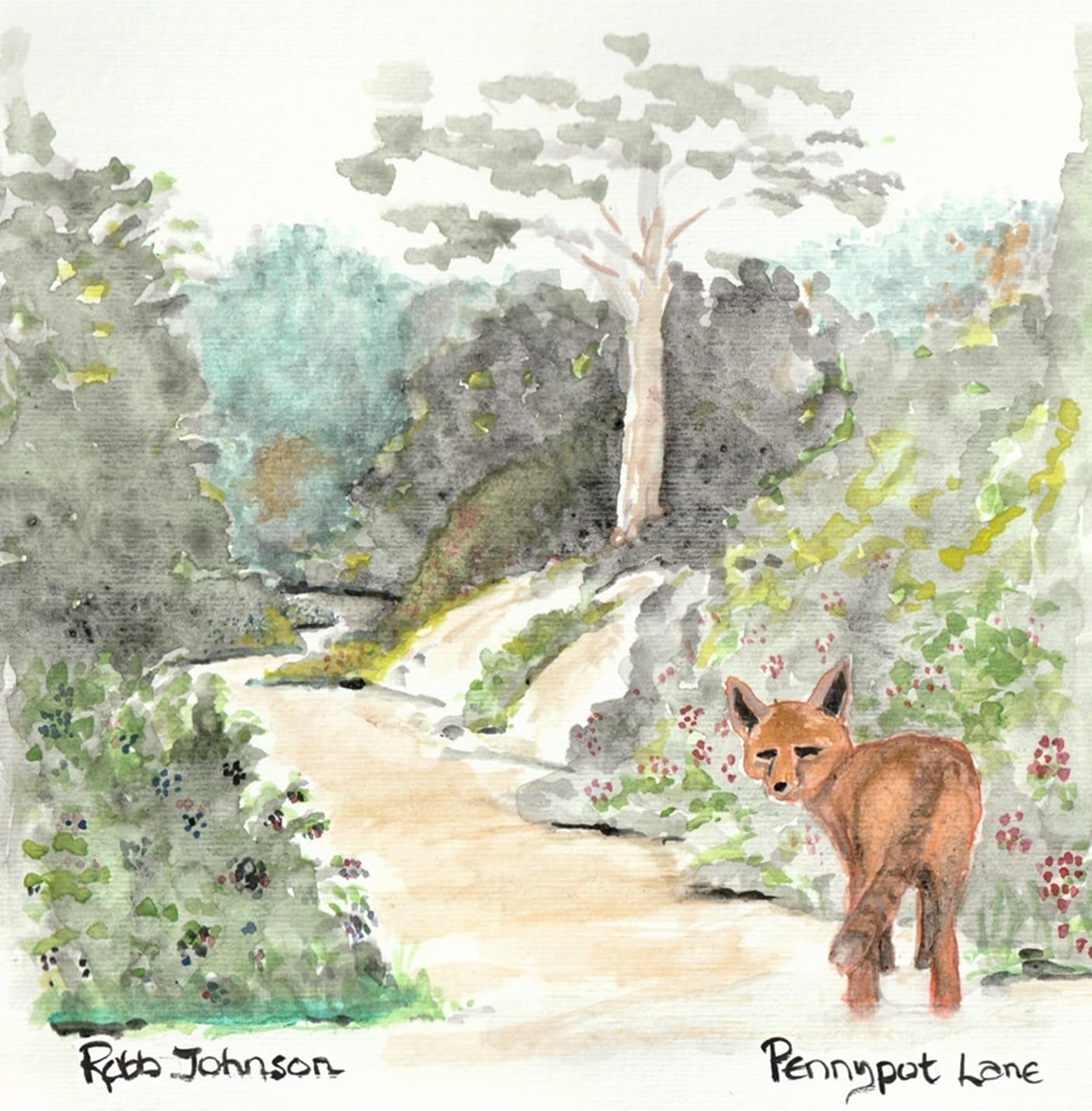 Robb Johnson - Pennypot Lane [LP] Vinyl Record