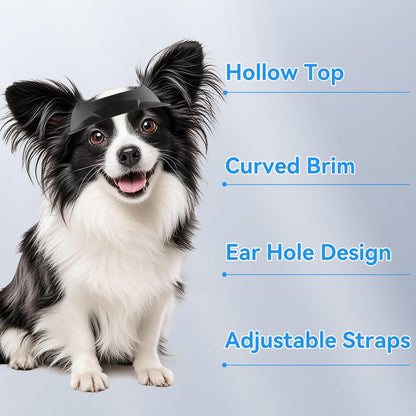 Dog goggle+sunhat sets 3 color