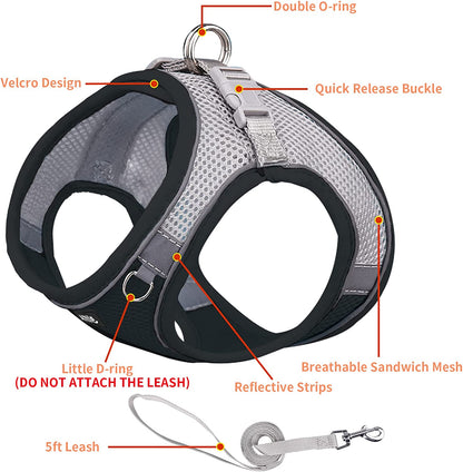 AIITLE Step in Dog Harness and Leash Set - Dog Vest Harness with Super Breathable Mesh, Reflective No-Pull Pet Harness for Outdoor Walking, Training for Small Dogs, Cats Pink XXS
