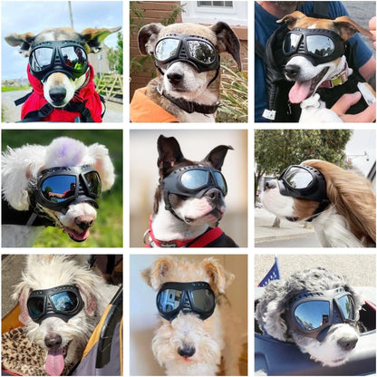 Dog goggles sunglasses skull