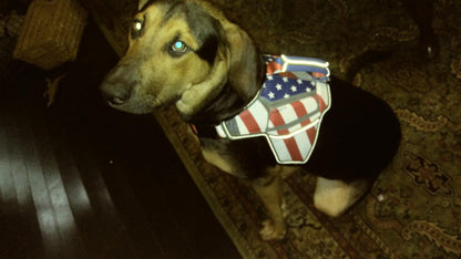 USA Patriotic Star Dog Harness+Leash Set