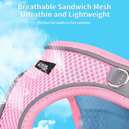 AIITLE Step in Dog Harness and Leash Set - Dog Vest Harness with Super Breathable Mesh, Reflective No-Pull Pet Harness for Outdoor Walking, Training for Small Dogs, Cats Pink XXS