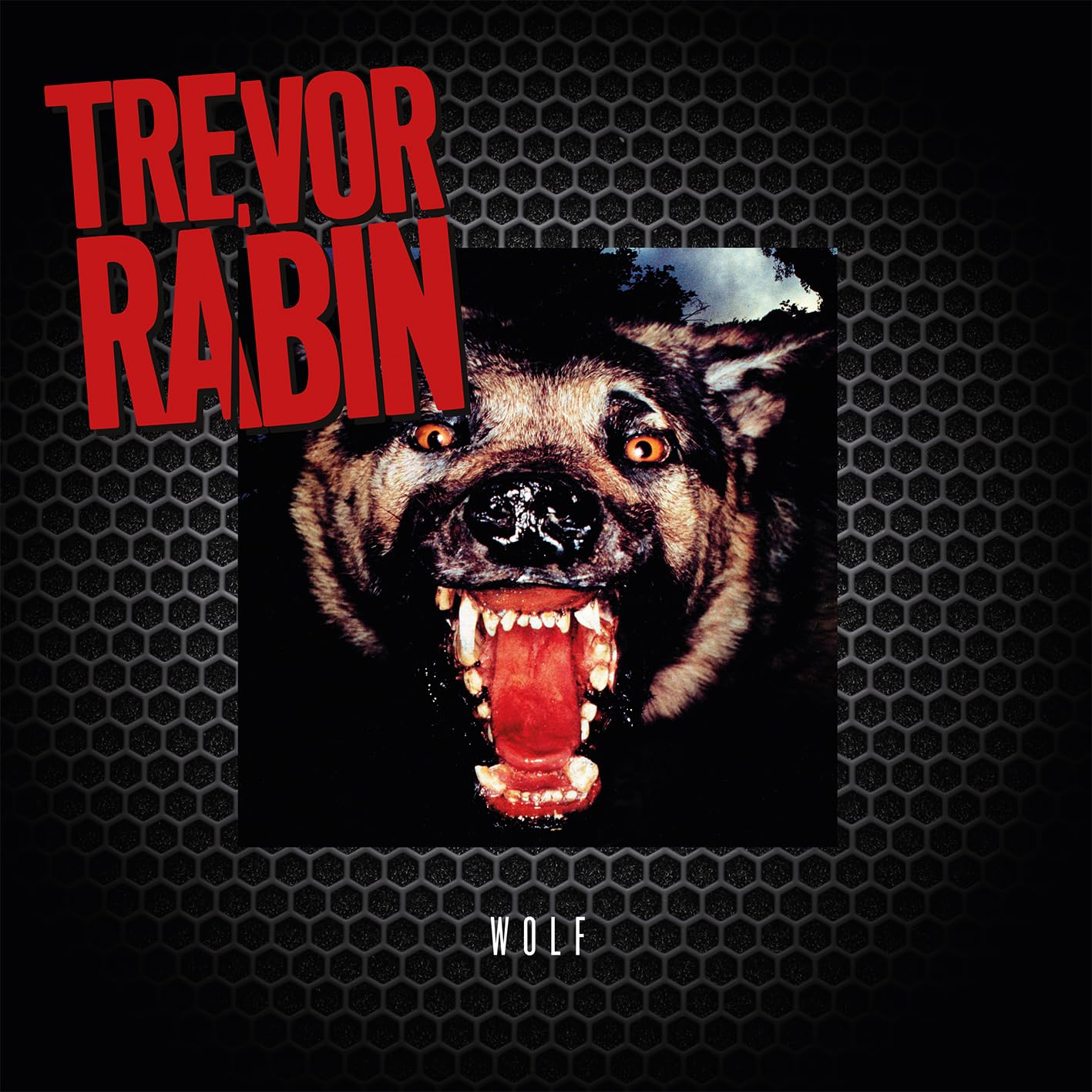 Trevor Rabin - Wolf (Can) [LP] Vinyl Record