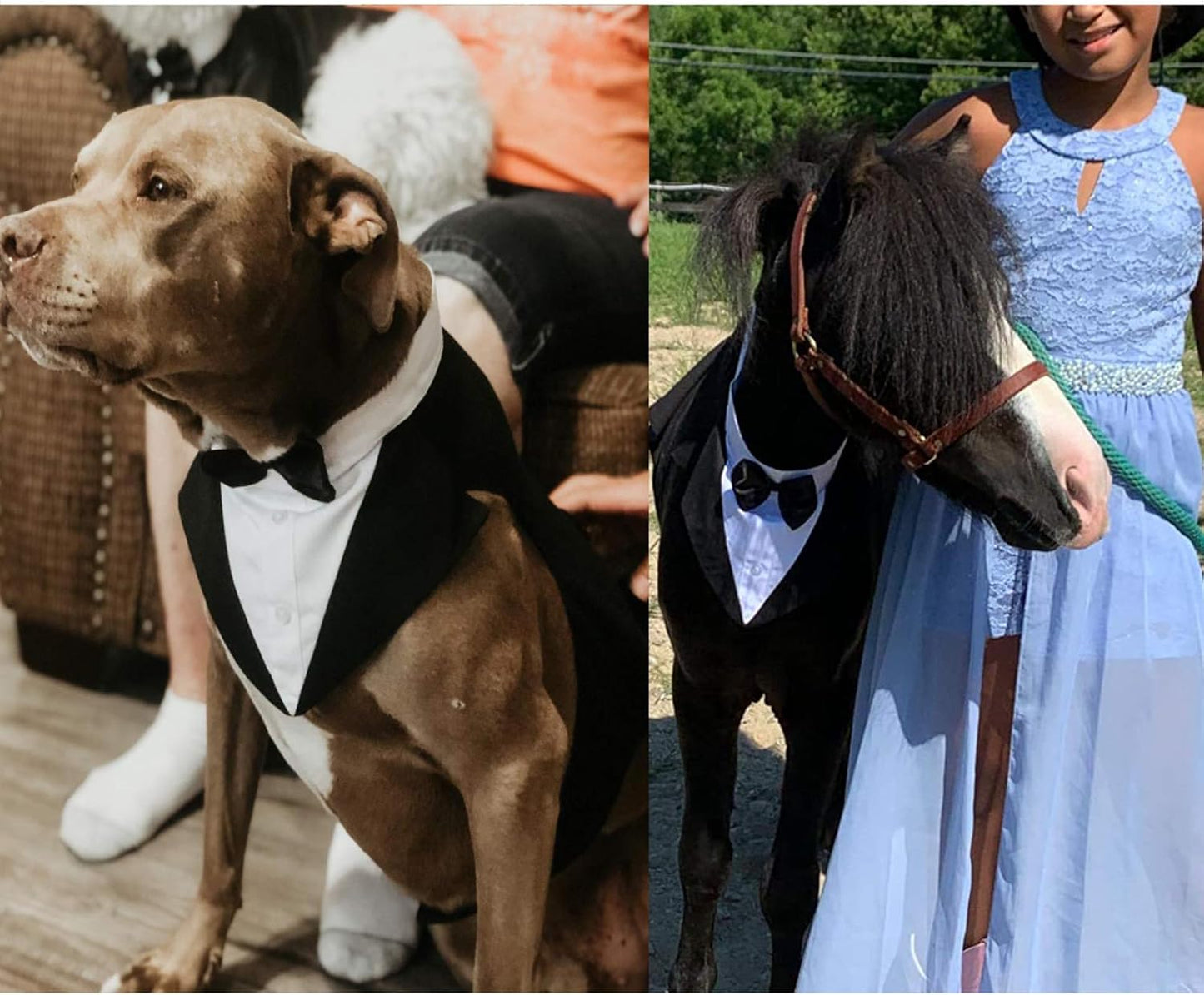 Dog Tuxedo Suit with Bow Tie – Wedding & Formal Outfit