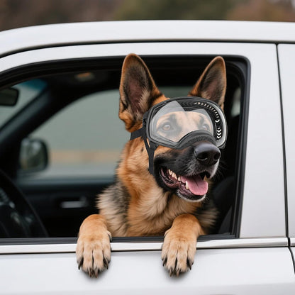 Motorcycle Dog Goggles Tactical Windproof For Large Dog
