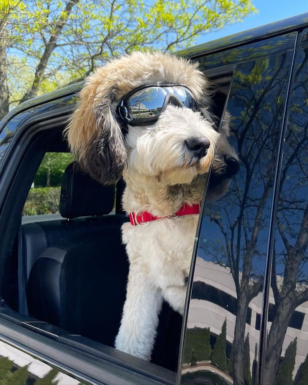 Dog goggles anti UV skiing sunglasses