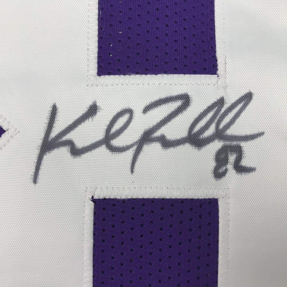 Autographed/Signed Kyle Rudolph Minnesota Purple Football Jersey JSA COA