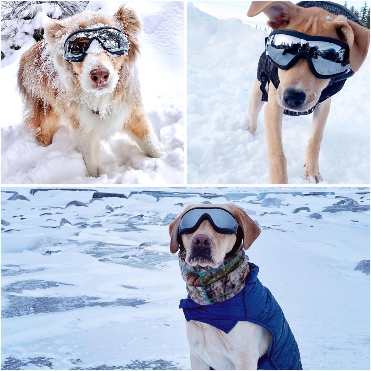 Dog goggles anti UV skiing sunglasses