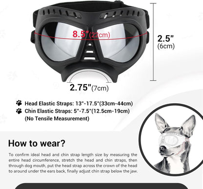 Dog goggles sunglasses skull