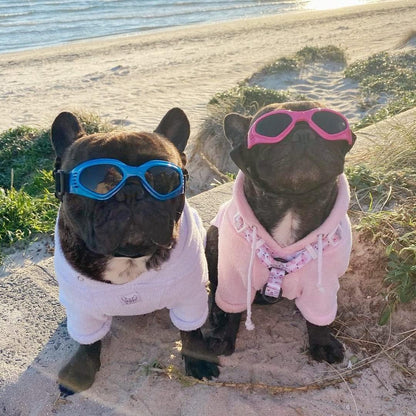 Dog goggles sunglasses cool accessories