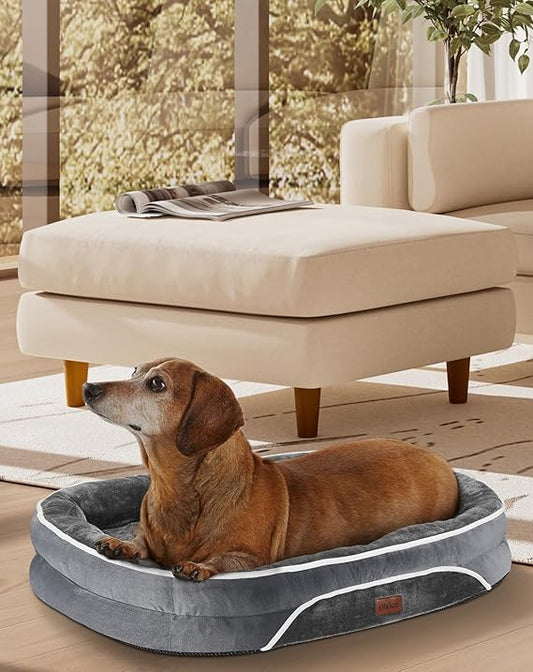 OhGeni Orthopedic Cat Bed Dog Couch for Small Sized Pets with Egg Foam Support, Four-Sided Bolster Cushions, Soft Tear-Resistant Fabric, and Removable Machine Washable Plush Cover 22-Inch (Gray)