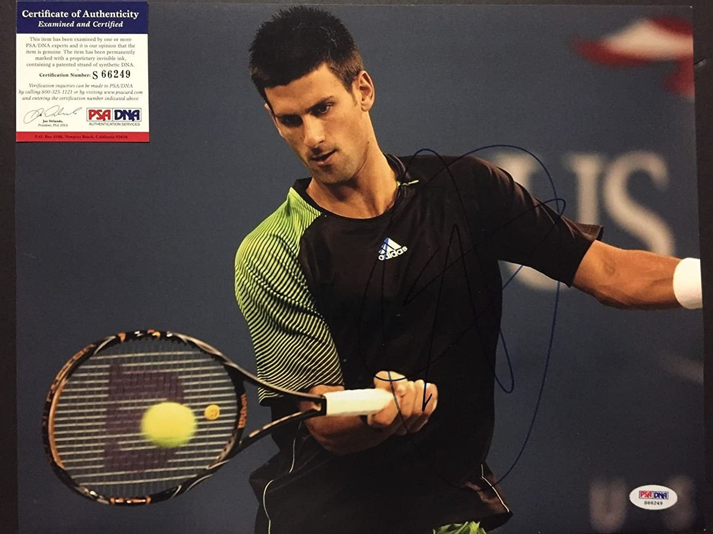 Autographed/Signed Novak Djokovic Joker Tennis 11x14 Photo PSA/DNA COA Auto