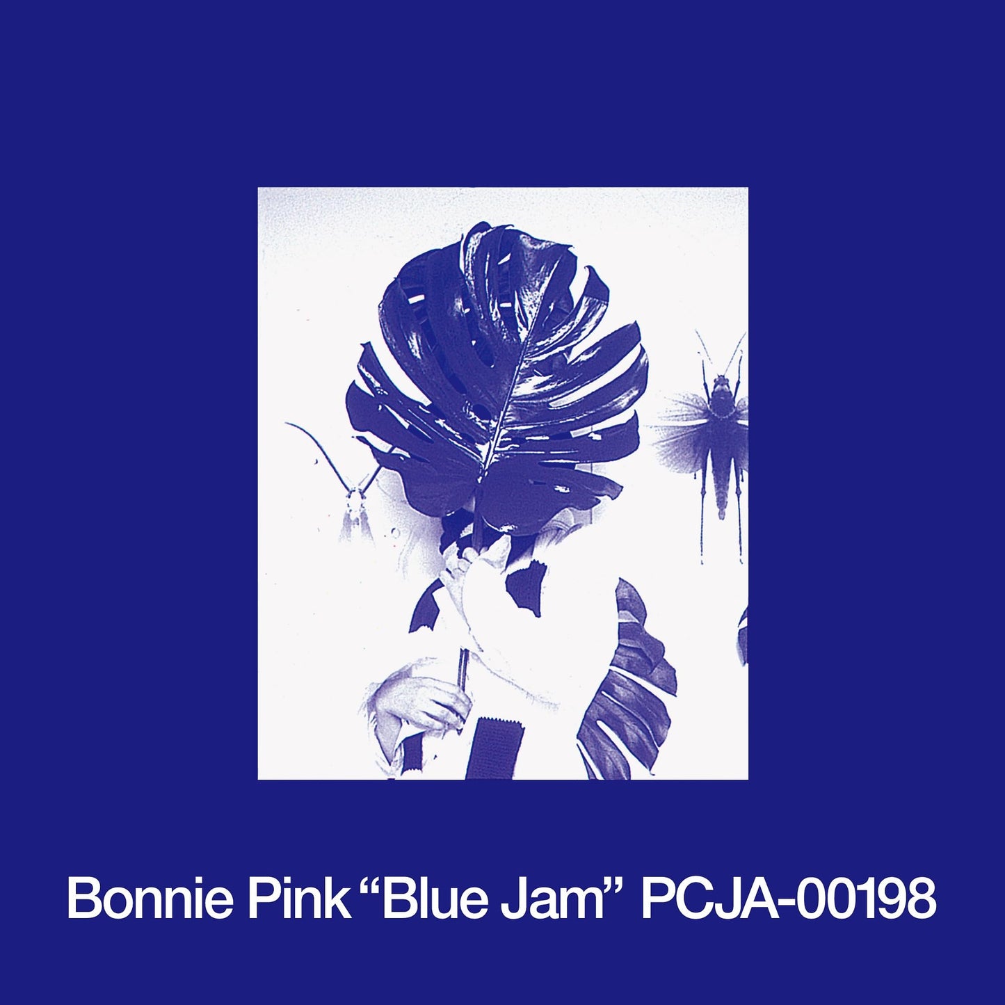 Bonnie Pink - Blue Jam (Jpn) [LP] Vinyl Record