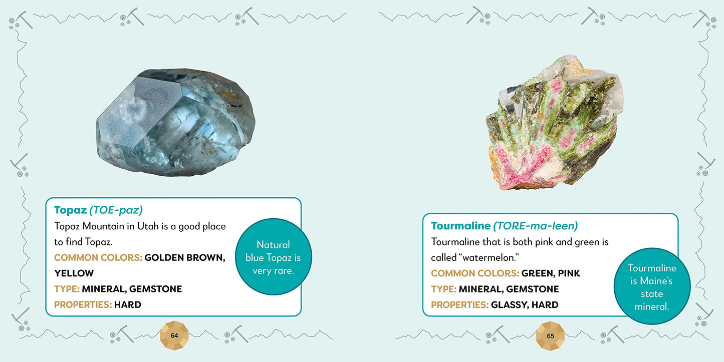All About Rocks and Minerals: An Introduction for Kids (My First)