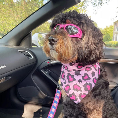 Dog goggles sunglasses cool accessories
