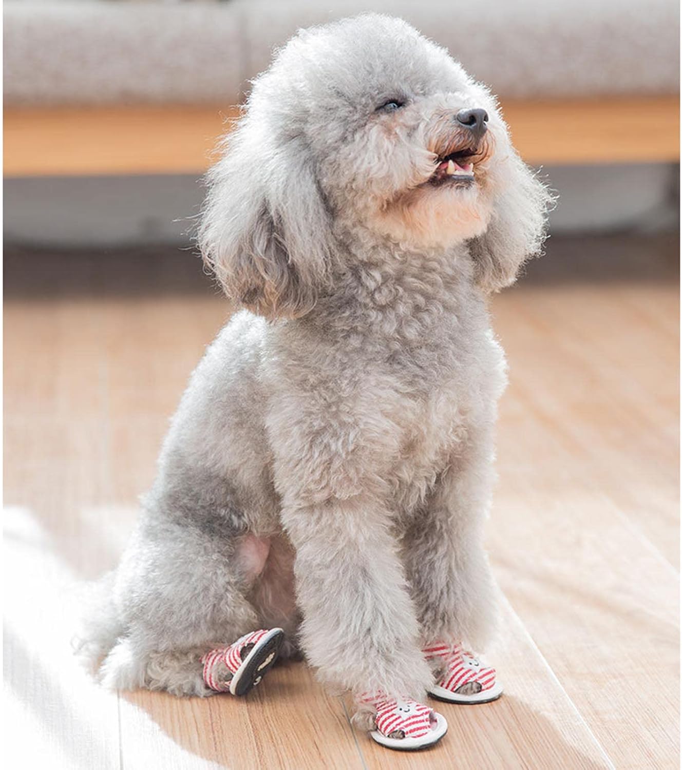 Striped Summer Dog Sandals with Cute Star Design Shoes