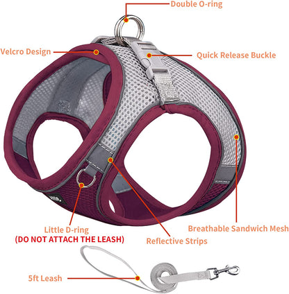 AIITLE Step in Dog Harness and Leash Set - Dog Vest Harness with Super Breathable Mesh, Reflective No-Pull Pet Harness for Outdoor Walking, Training for Small Dogs, Cats Pink XXS