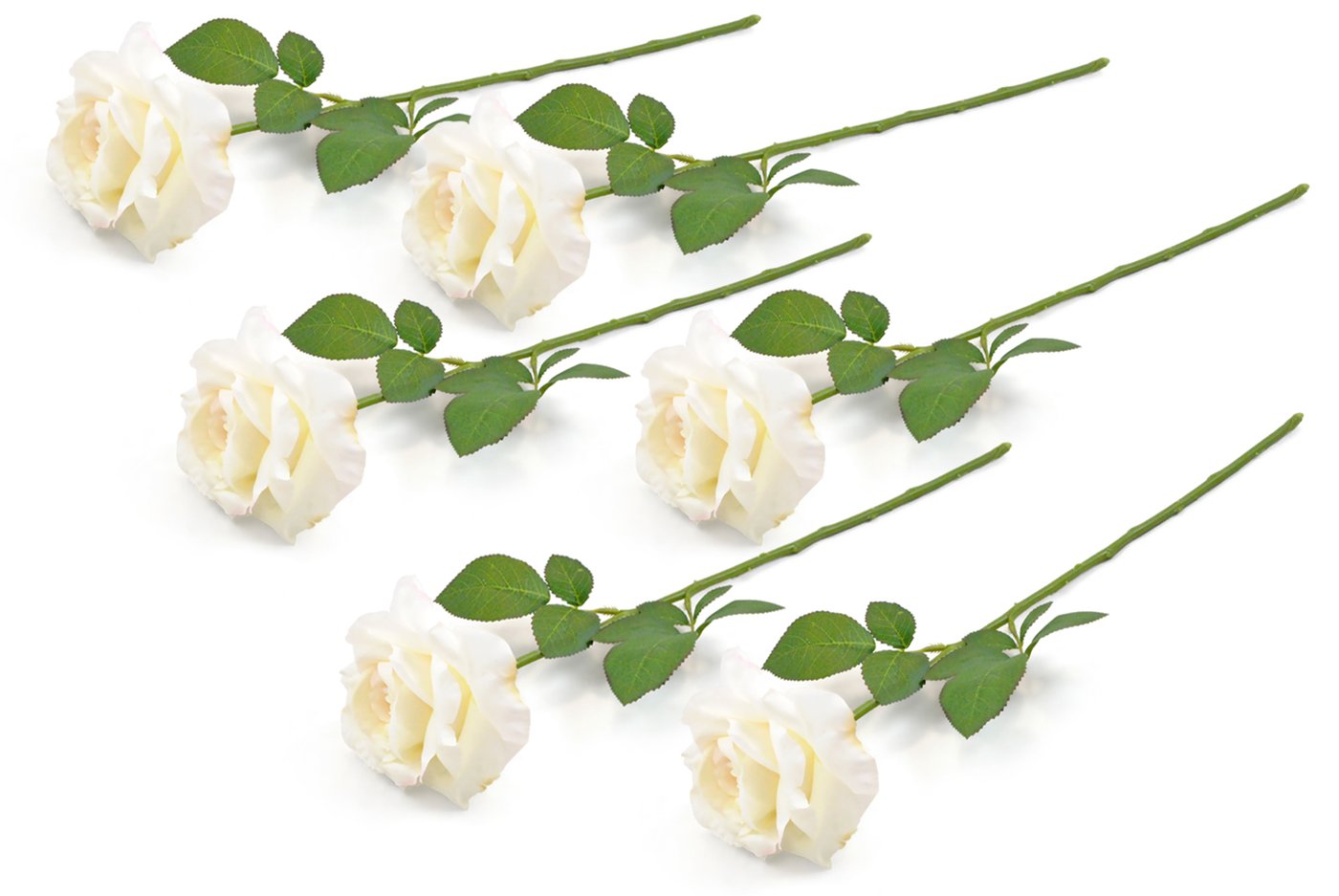FLOWER OPEN ROSE CREAM SET OF 6