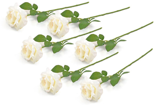 FLOWER OPEN ROSE CREAM SET OF 6