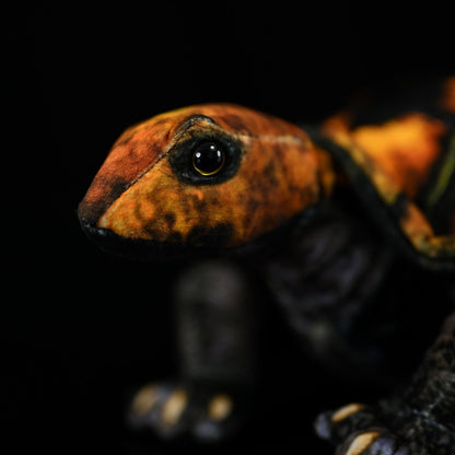 Japanese Stone Turtle Plush
