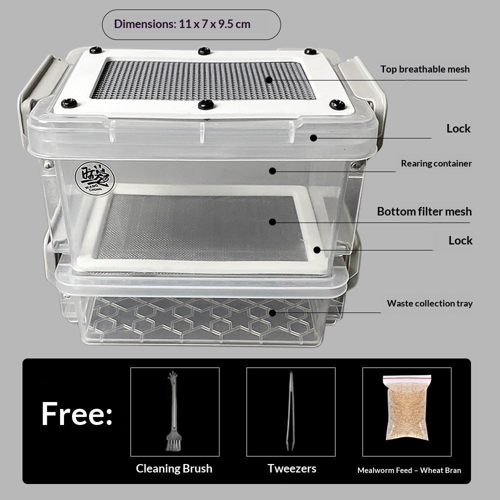 Mini Self-Sifting Mealworm & Feeder Insect Box