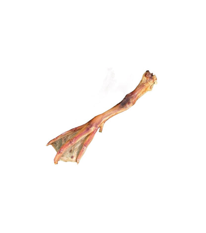 Dehydrated Duck Feet