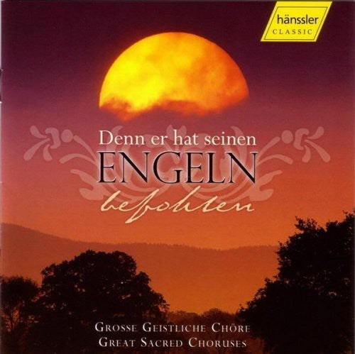 Denn Er Hat Seinen Engeln Be - Denn Er Hat Seinen Engeln Befohlen / Various [CD]