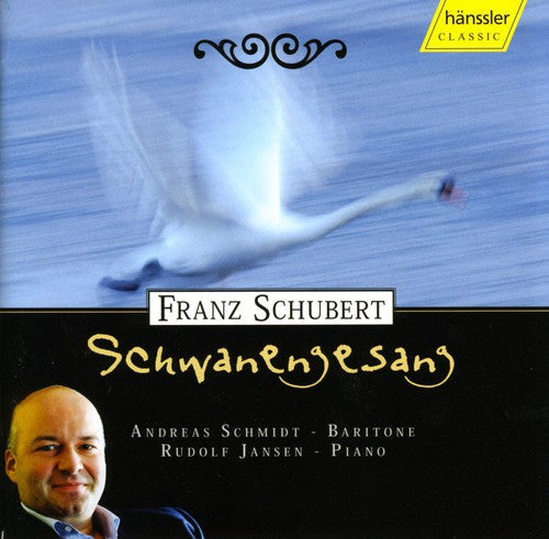 We Were Strangers - Schwanengesang Music CD