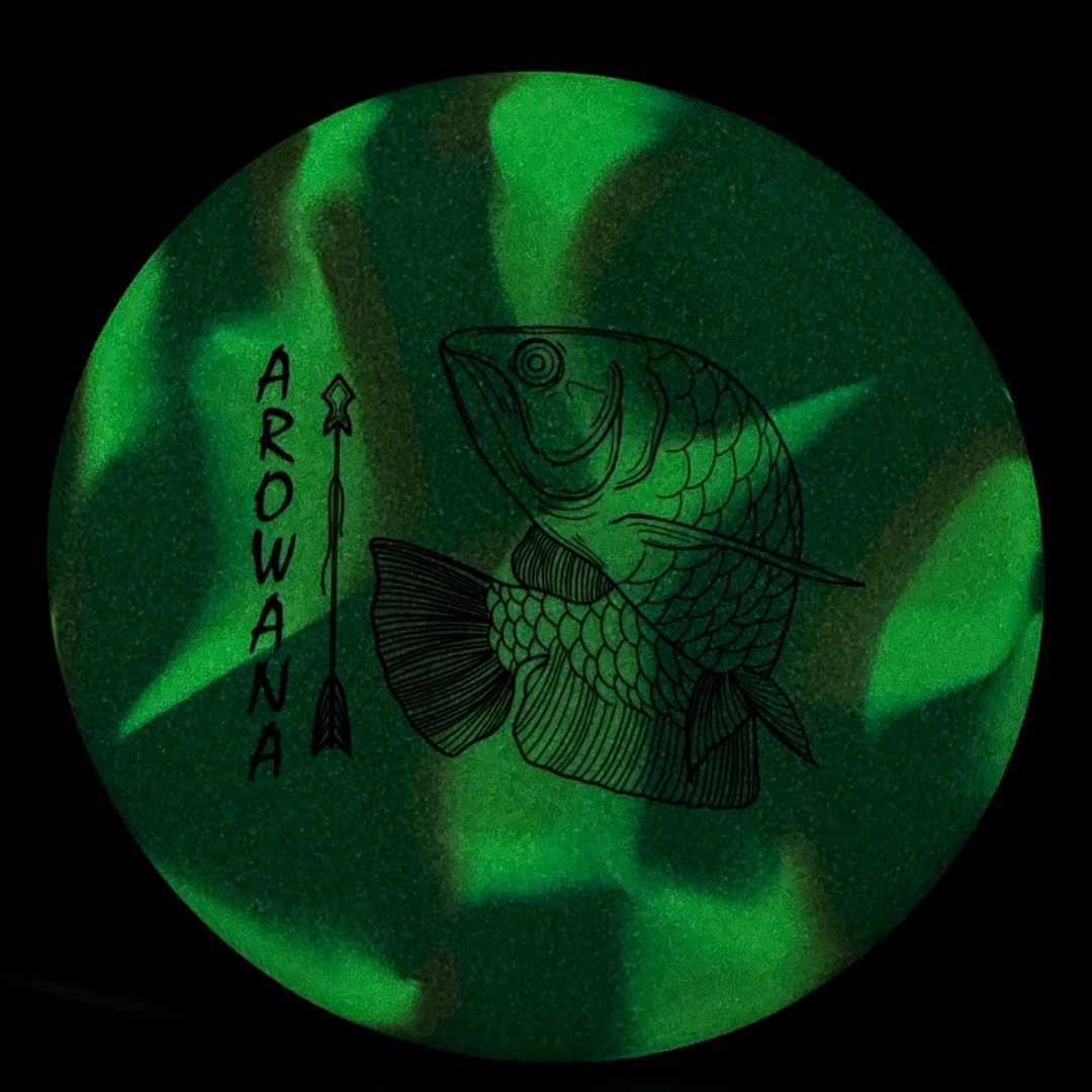 glO-G Arowana