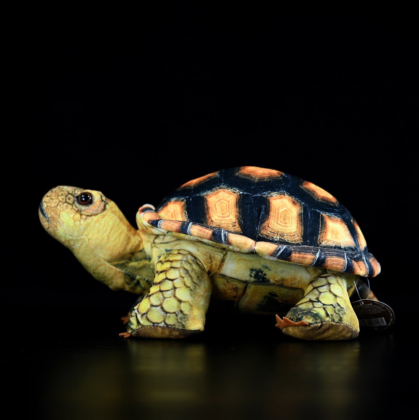 Mediterranean Tortoise Plush