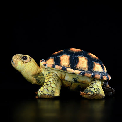 Mediterranean Tortoise Plush