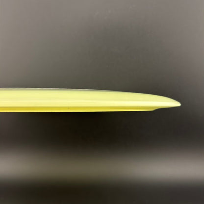 Proto Glow Champion Tern