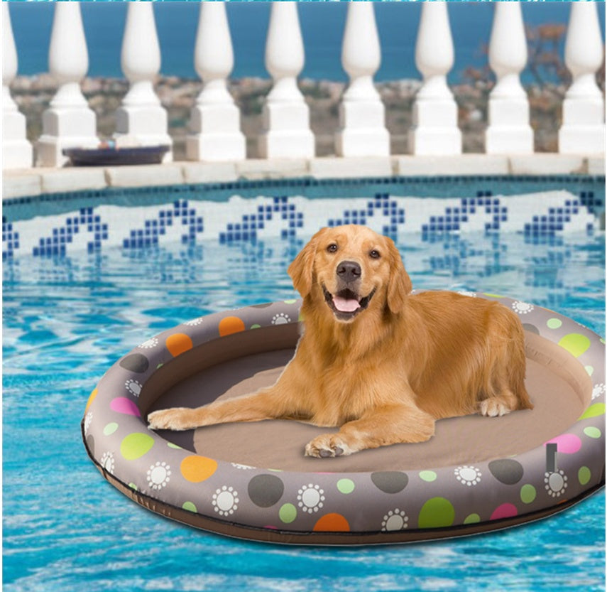 Dog Swimming Pool
