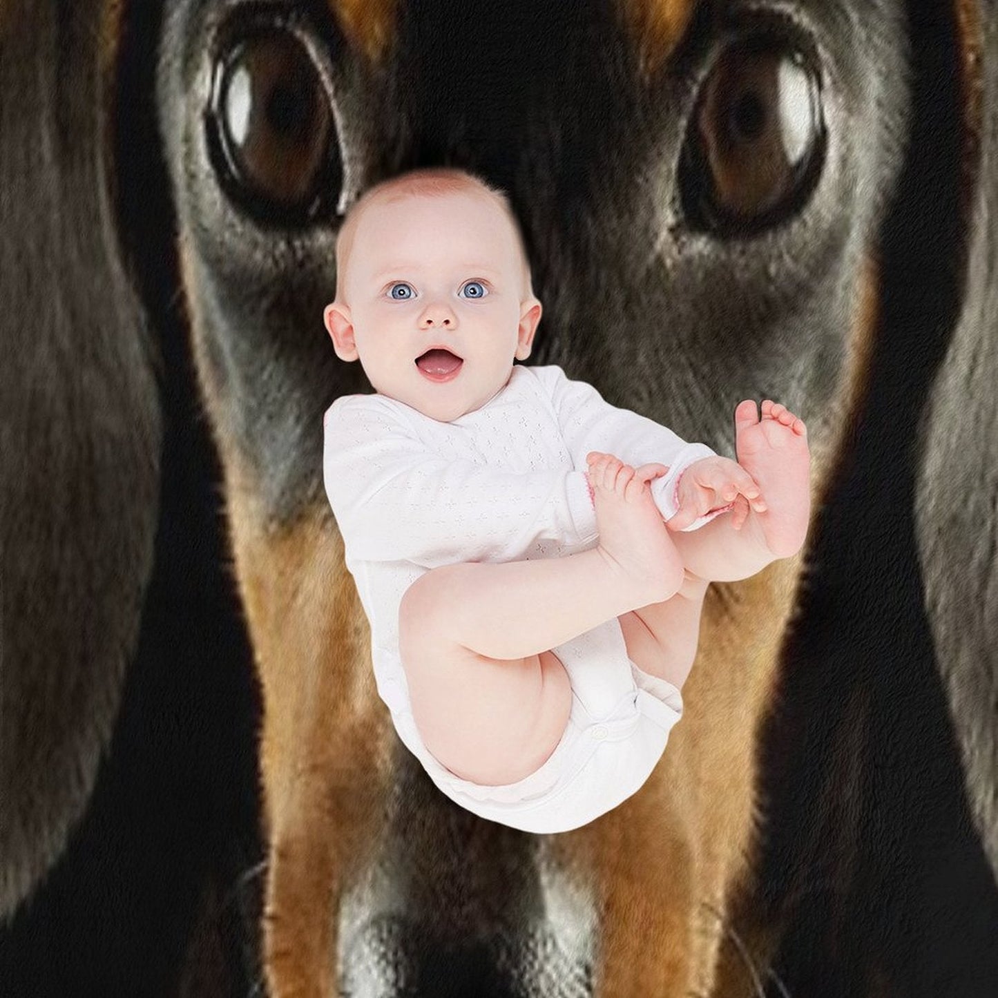 Dachshund Dog Photo Portrait Throw Blanket