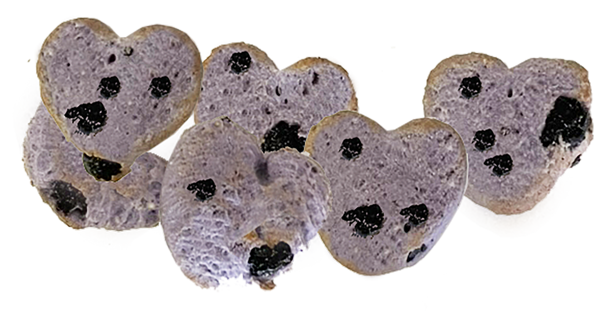 Much Loved Dog™ Blueberry Set