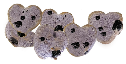 Much Loved Dog™ Blueberry Set